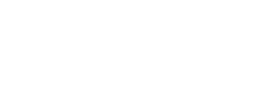 STGEI White Logo